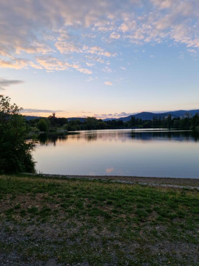Ferienwohnung Naturini Freiburg im Breisgau Buitenkant foto